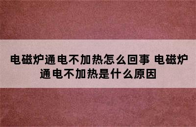 电磁炉通电不加热怎么回事 电磁炉通电不加热是什么原因